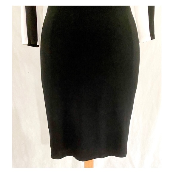 Lauren Ralph Lauren Ruched Color Block Dress - Picture 6 of 10